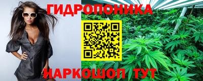 винт Славгород