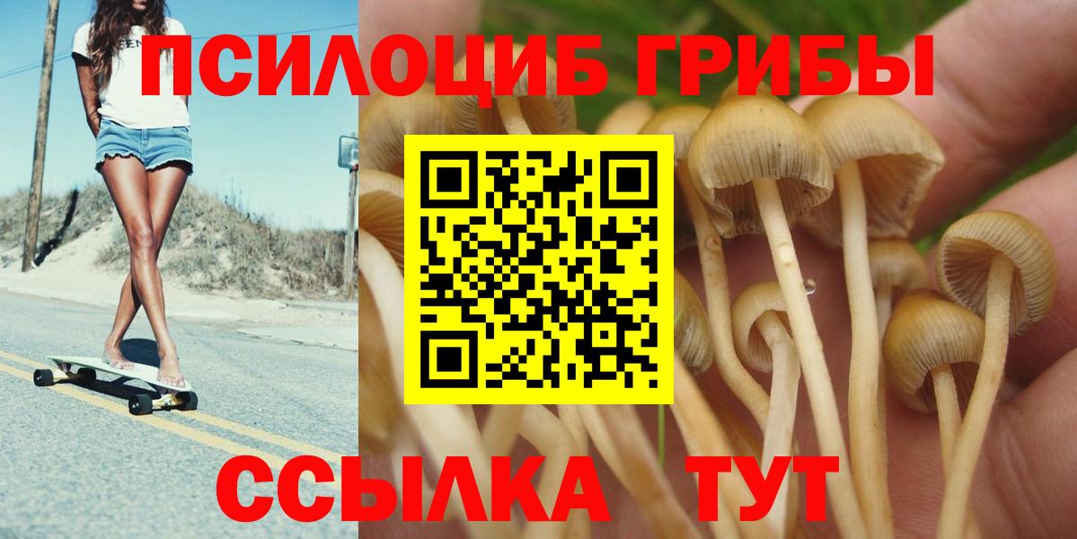 Псилоцибиновые грибы мухоморы Отрадное