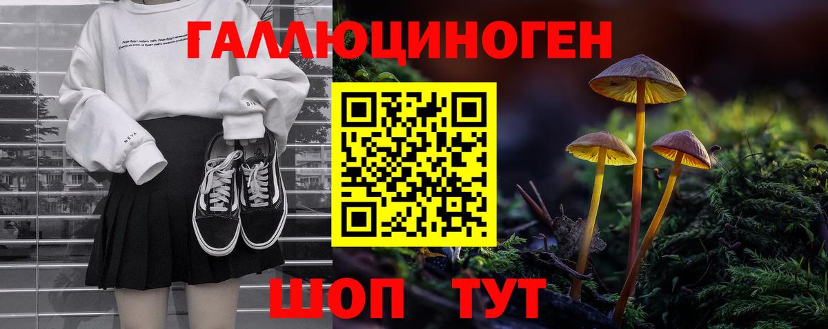 закладки  Псилоцибиновые грибы GOLDEN TEACHER  Вход с VPN  Отрадное  Псилоцибиновые грибы прущие грибы 