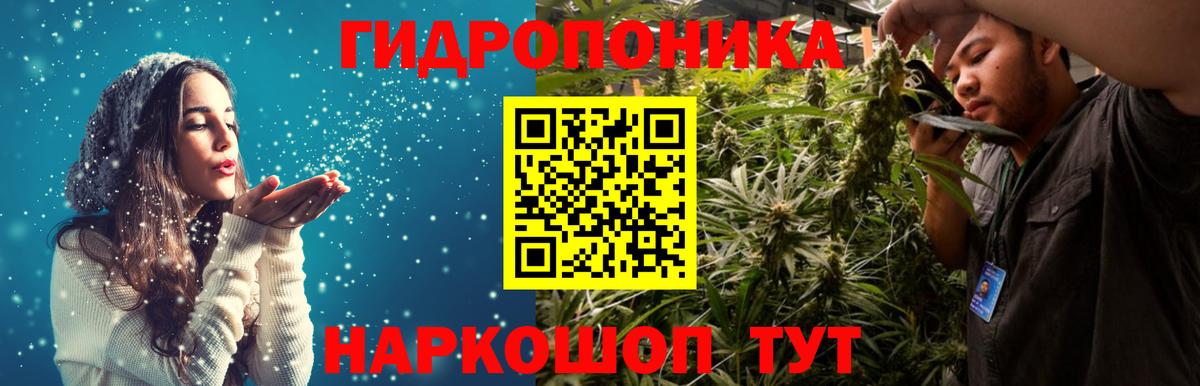 Бошки Шишки марихуана Отрадное